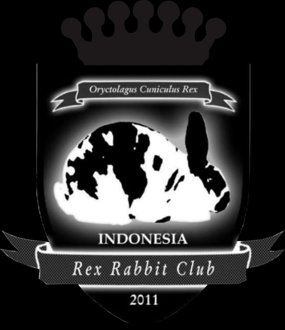 Indonesia Rex Rabbit Club